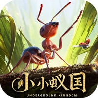 小小蚁国app安卓官网版