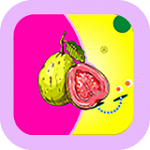香蕉芭乐丝瓜绿巨人草莓小猪app